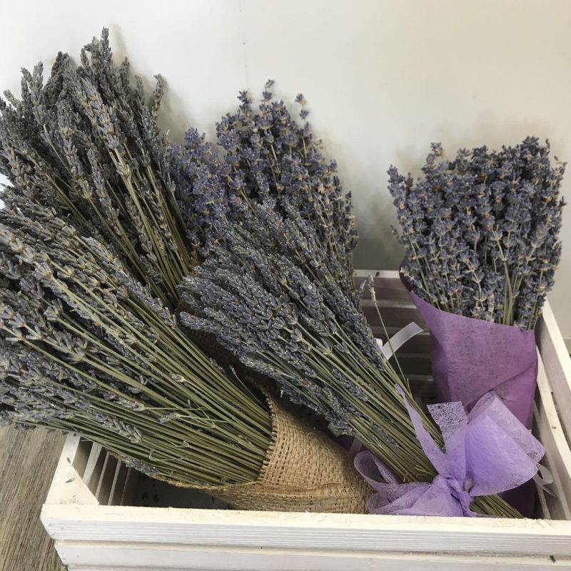 dried-lavender-bunch